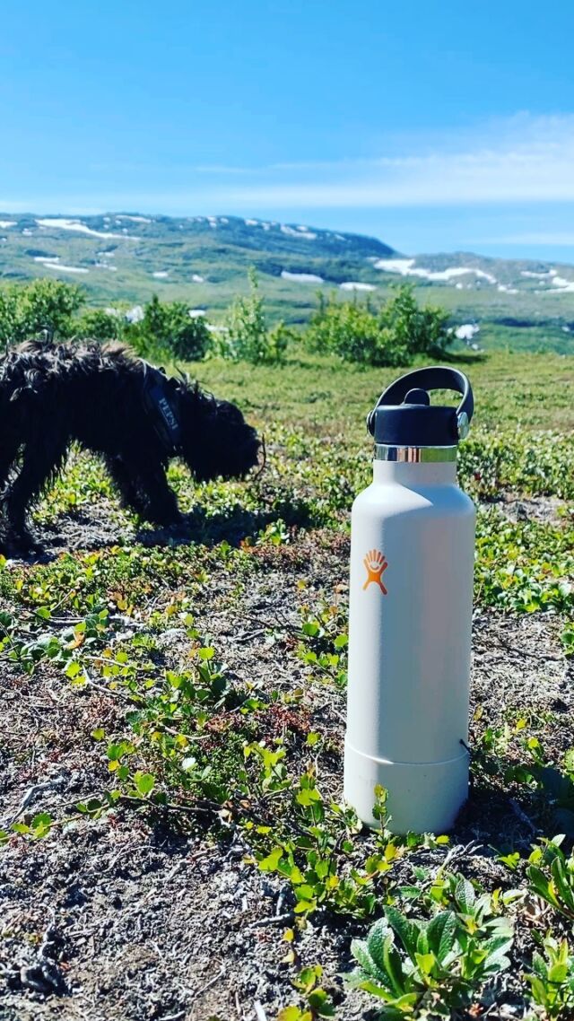 Fjällen levererar! ☀️😎 #granitbiten #hydroflask