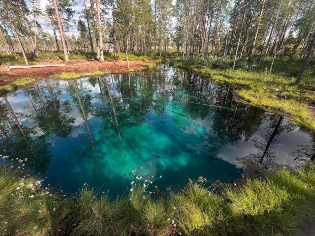 Etapp 4, Grodkällan in Auktsjaur.
My search for special places in North Scandinavian nature with power, wisdom and/or beauty has taken me to this place called ’Grodkällan.’ I have been hearing about it quite some time, so no wonder I had to visit.
It’s original Samisch name is ’Tsuobbuojája’ (Grodkällan) because the Sami people watched how froggs survived the arctic winters in this little turquoise blue mineral lake. And no wonder this area is popular under the frogg population; although this summer the north of Sweden don’t have so many mosquitos, it doesn’t mean there are no other flying and stinging insects in the air. Especially in these vast swampy areas… All kinds of various horse flies that take the airspace left by the mosquitos. A paradise for froggs, but not for me. During my visit to Grodkällan I had planned to camp, eat and meditate there. But instead I only stayed  couple of hours. This little lake is really interesting, it ’lives’ while the crystal clear water is ’boiling up’ from underneath (I tried to film it). But for camping and meditating; you should be a real advanced yogi, to be able to sit still and not be bothered by the buzzing sounds and stings of these ’punishments of God’. I trust these creatures have a place in the wholeness of mother Earth, a meaning to exist. But from my point of view, being programmed as human being, I really don’t know why God created them. What I take with me is that Grodkällan is a beautiful and very special place, definitely worth a visit too. But you should know when the forces of nature are too strong and it is time to change plans, allign with my own inner natural wisdom and leave… So Saltstraumen, here I come!!! 😂🙈🙏
adventureacademynordic 
outnorth urbergskandinavien 
roswi_outdoor scarpanordic victorinox
#adventureacademy
#adventureacademysweden
#outnorth #urberg #hydroflask #scarpa #victorinox #darntough #optimusstove #balticlifejackets #kajaksidan #petzl #blizzwool #klätterverketgasverket #scandicdowntowncamper #granitbiten #roswisportsoutdoor